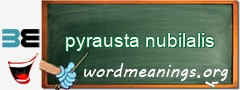 WordMeaning blackboard for pyrausta nubilalis